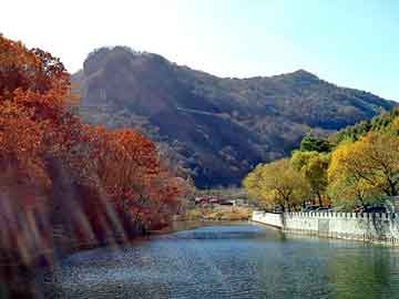 澳门二四六天天彩图库，她死在qq上